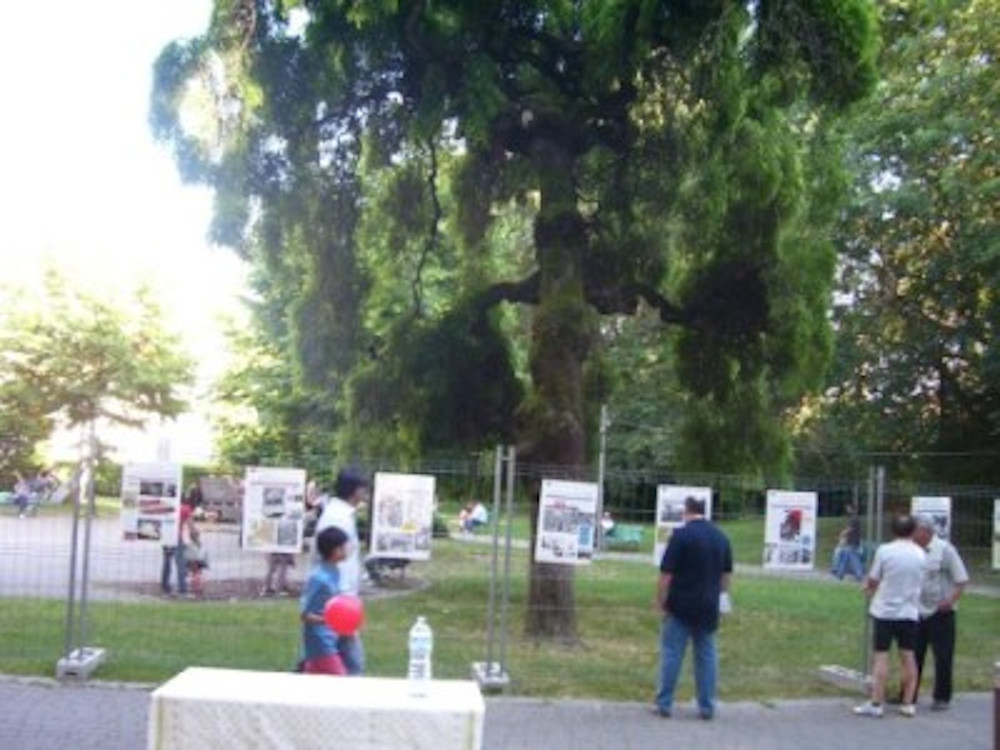 foto, momenti dell'esposizione della mostra e brindisi con musica della Piccola Orchestra Fonomeccanica