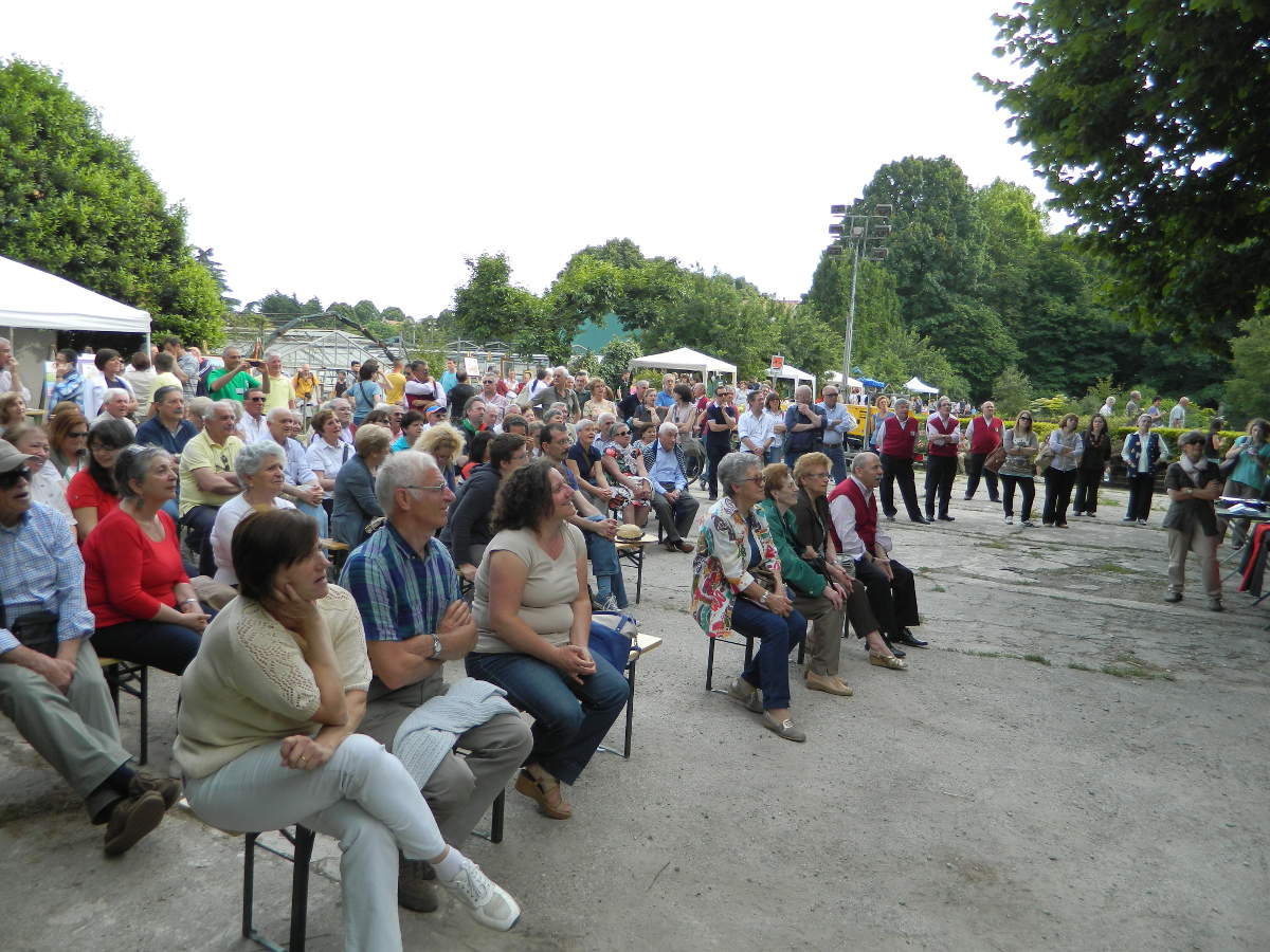 Manifesto programma della festa