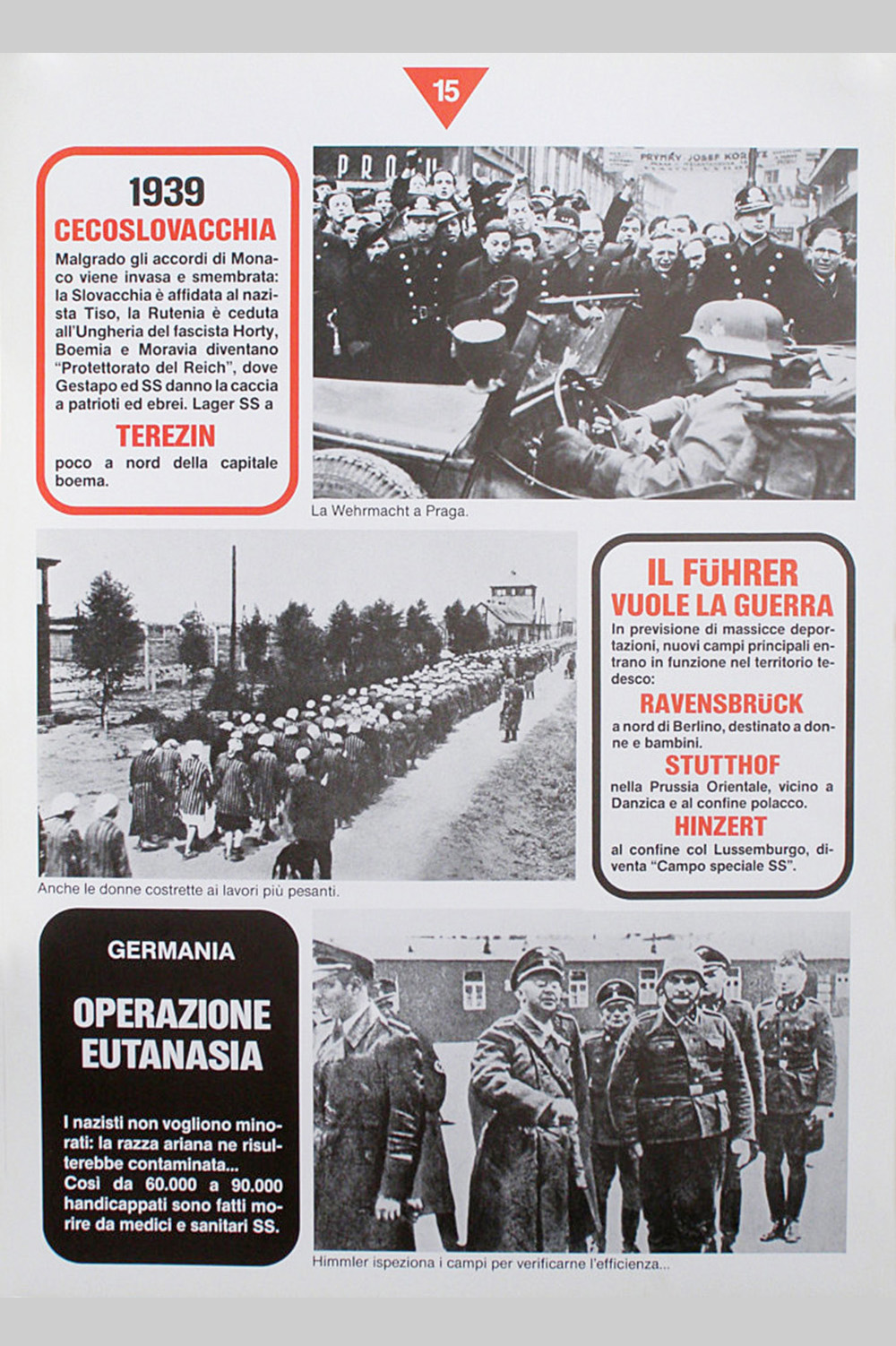 foto, pannello mostra